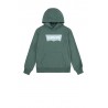 LEVI'S Sweat capuche, Vert forêt