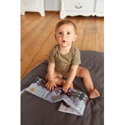 LASSIG Livre d'éveil, ferme