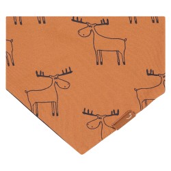 BABYFACE Bandana, Canyon